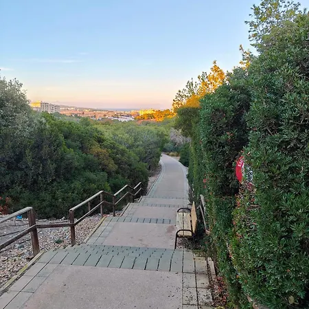 公寓 Casa Liza In La Mata 托雷维耶哈