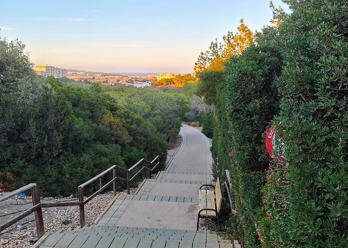 公寓 Casa Liza In La Mata 托雷维耶哈