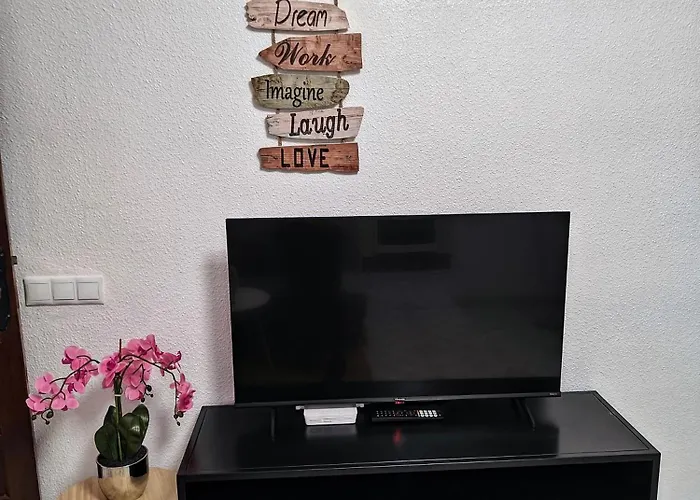 Casa Liza In La Mata 公寓 托雷维耶哈