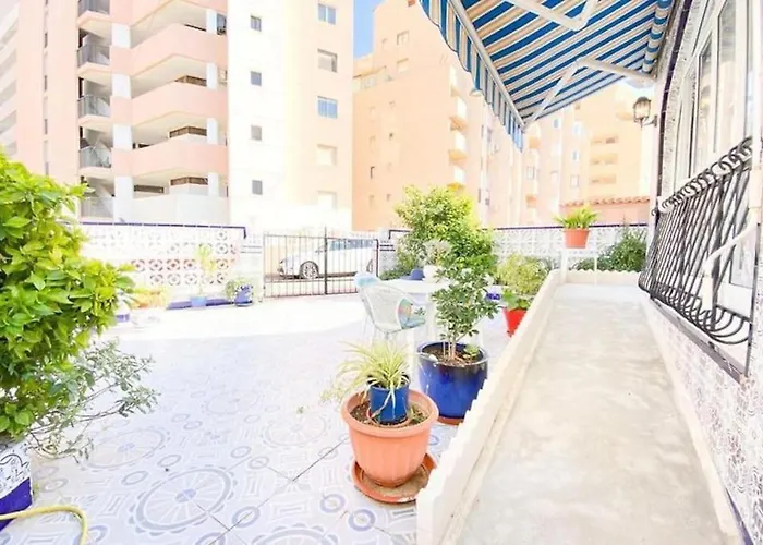 公寓 Casa Liza In La Mata 托雷维耶哈